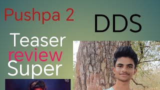 Pushpa 2 teaser review