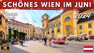 Österreich Wien 2024 ✨ Spaziergang im Historischen Zentrum Wiens - 4K Rundgang