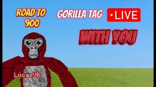 Playing gorilla tag with you