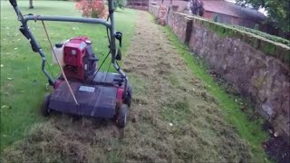 Lawn scarifying, to removing moss and thatch