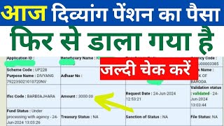 आज से दिव्यांग पेंशन का पैसा फिर से डाला गया| UP Divyang Pension Kab Aayegi 2024 | Viklang Pension