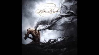 Amederia - Together