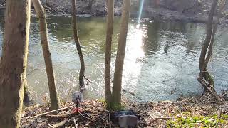 Babbling river with nature and city background recorded with mixpre 6 (mk2) und Audio Technica 4025