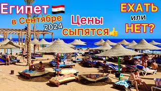 Египет в СЕНТЯБРЕ 2024🇪🇬 ВАЖНО❗️ Туры ДЕШЕВЕЮТ! ЛЕТЕТЬ или НЕТ на отдых? ПОГОДА, ветер, МАНГО, море