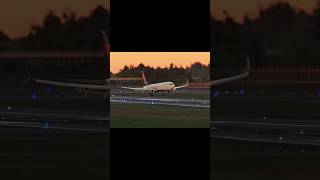 Gliding Home: The Perfect 737-900ER Touchdown! | MSFS 4K | #aviation #shorts