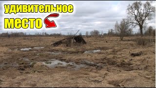 Удивительно интересное место от которого ожидали большего!Коп старины с металлоискателем!