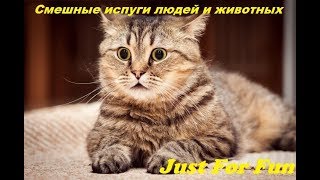 СМЕШНЫЕ ИСПУГИ ЛЮДЕЙ И ЖИВОТНЫХ 2019 #3 ЗАБАВНЫЕ ЖИВОТНЫЕ / ПРИКОЛЫ С ЖИВОТНЫМИ /  ИСПУГ