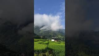 Home town ☮️💚🌱#nature #nepal #youtubeshorts #syangja #waling #goviral