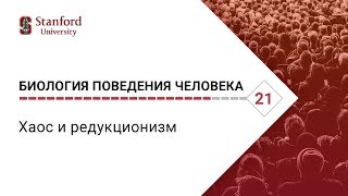 Биология поведения человека: Лекция #21. Хаос и редукционизм  [Роберт Сапольски, 2010. Стэнфорд]