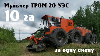 Мульчер ТРОМ 20 УЭС на расчистке ЛЭП. 4К