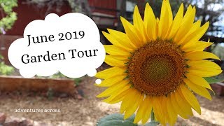 June Garden Tour 2019 | Permaculture in Arizona | Adventures Across