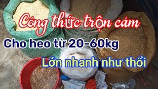 Công thức trộn cám cho heo từ 20-60kg | Heo lớn nhanh như thổi ☎️0372225255