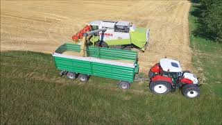 Gerste Dreschen mit einem Claas Lexion | Steyr CVT | Getreideernte | Agriculture