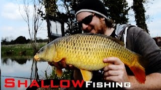 CARP, IDE, RUDD Shallow Fishing Fast and Furious