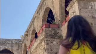 Discover Lebanon in Saida