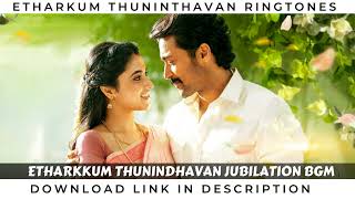 Etharkkum Thunindhavan Jubilation Bgm