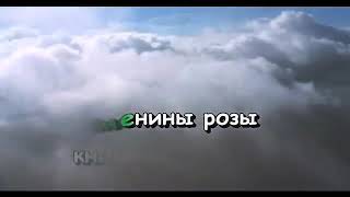 Караоке. Сборник ваших любимых застольных песен на любой праздник.. Смотрите и пойте.  Лучшие хиты.