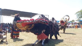 Barongan nyaplok bayi