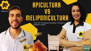 Apicultura X Meliponicultura