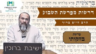 הרב חיים ברוך - דרשות מפרשת השבוע | פרשת בחקותי | תשפ"ד