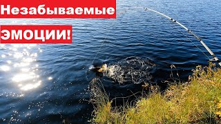 Рыбалка с утра не задалась, за то сын получил незабываемые эмоции!