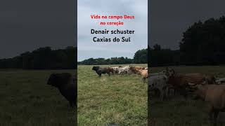 Vida no campo Deus no coração