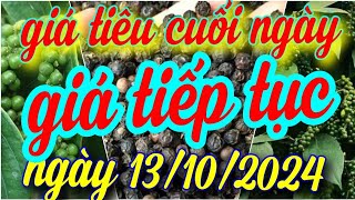 giá tiêu cuối ngày 13/10/2024