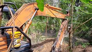 Excavator Beraksi Renovasi Parit di Kebun Kelapa Sawit ada Ikanya