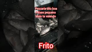 Frito de hoje deu bom.#pesca #fritonabeiradorio #caça #natureza.