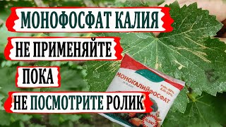 🍇Не применяйте МОНОФОСФАТ КАЛИЯ на винограде пока не посмотрите этот ролик/Как МФК искореняет милдью