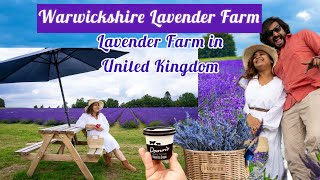 Lavender Farm in UK|| Warwickshire Lavender Farm, Coventry|| Vlog- 128