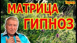 Сильнейший Гипноз Матрица ☀️ Регенерация и Восстановление Всех Органов