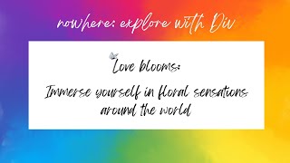 [Photo Exhibit] Love Blooms: Rainbow Flower Collection @Redwood Shores Library -  March - April 2024