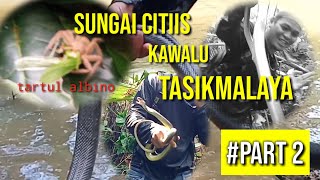 GAGAL DAPAT MUSANG DAN BYAWAK