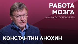 Как связаны мозг, сознание и душа / Константин Анохин // Нам надо поговорить