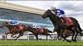 Caulfeild Racing Preview (G1) Caulfield Cup Day (Undercard) Preview (21.10.23) Sky High Horse Racing