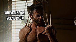 Wolverine 4K Scene pack