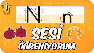 N Sesi Öğretimi 🌿 Okunuşu ve Yazılışı ✍🏻  1.Sınıf #2025