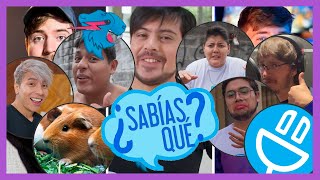 Reacción, Análisis y Curiosidades de la PARODIA de Don bestia | Mr.Beast ENCHUFE TV @enchufetv