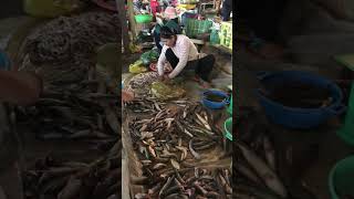 Morning Fish Market #shorts #shortvideos #fish #selling #buying #walkthrough #market