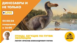 Занятие "Птицы, бегущие по путям эволюции"  кружка "Динозавры и не только" с Ярославом Поповым