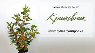 17  Финальная тонировка