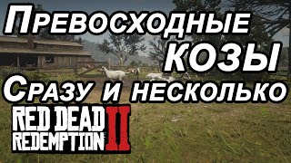 Где найти КОЗУ/ Red Dead Redemption 2/