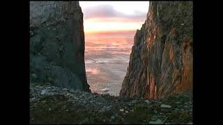 Остров счастливых овцебыков.Happy Musk Ox Island.L'île du mouton heureux.