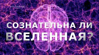 Невероятные теории о сознательной Вселенной. (Документальный фильм)