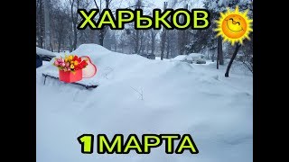 ХАРЬКОВ 1.03.18 Метель. Белая весна пришла 😂