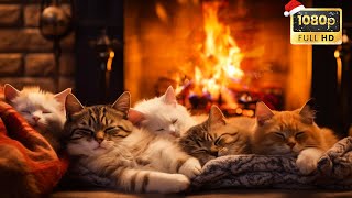 Relaxing To Purring Cats And Cozy Fireplace for Peaceful Night 🔥 Deep Sleep, Relax, Study