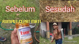 Menyemprot Rumput Halaman rumah