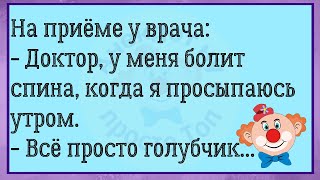 🔥Однажды Друзья Прислали Чукче...Большой Сборник Весёлых Анекдотов, Для Супер Настроения!