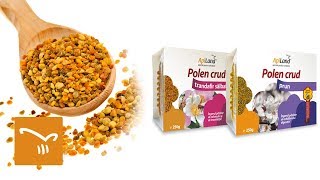 Polen crud ApiLand - cel mai complet aliment natural